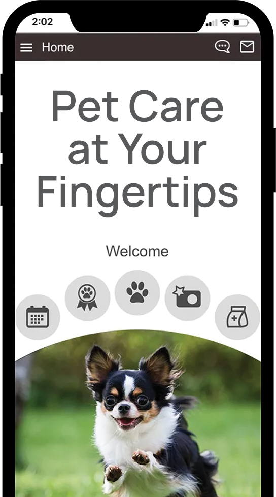 App preview in mobile device